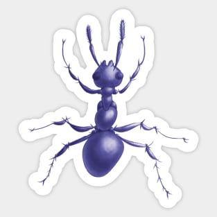 Purple Ant Sticker